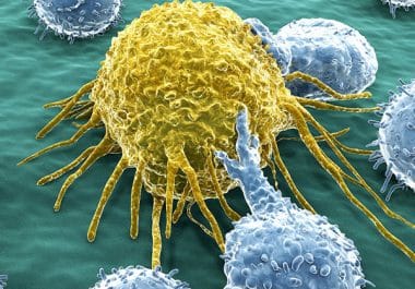 Building Better Cancer CAR T-Cell Immunotherapy