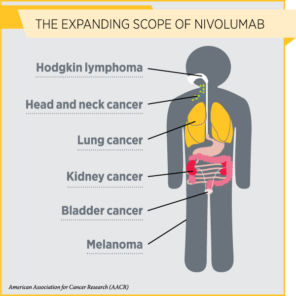 Use Of Nivolumab Expanded To Sixth Cancer Type American Association For Cancer Research Aacr 2550