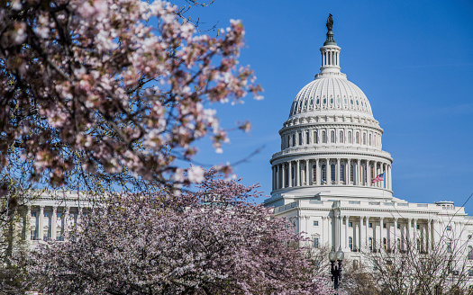 Key Policy Sessions Set for AACR Annual Meeting 2017 - American ...