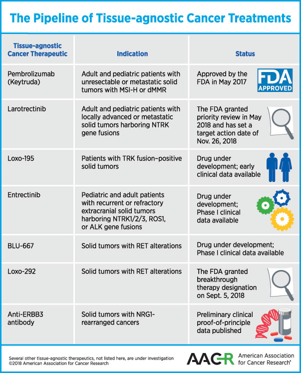 Harnessing The Power Of Precision Medicine – Treating Cancers With ...