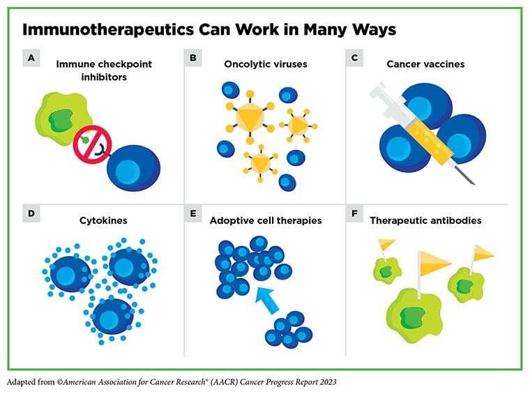 Graphic showing examples of various immunotherapies, including immune checkpoint inhibitors, oncolytic viruses, cancer vaccines, cytokines, adoptive cell therapies, and therapeutic antibodies.