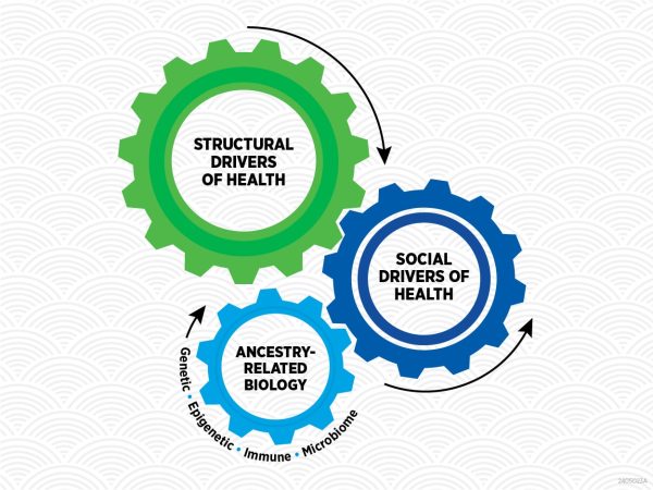 AACR Cancer Disparities Progress Report 2024