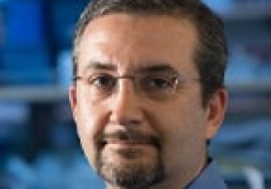 Ash A. Alizadeh, MD, PhD