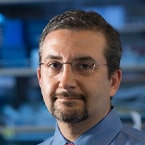 Ash A. Alizadeh, MD, PhD