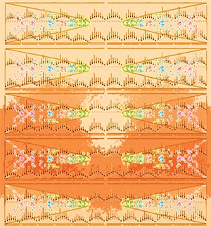 The cover image for Cancer Epidemiology, Biomarkers & Prevention depicts the results of this trial screening for Epstein-Barr virus as a woven tapestry.