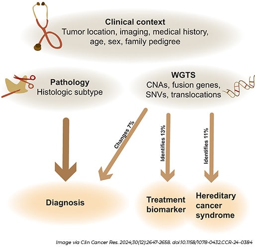 A graphic showing that across all the suspected sarcoma tumors examined, WGTS led to 7% being reclassified, 13% having an identifiable treatment biomarker, and 11% being associated with hereditary cancer syndromes.  