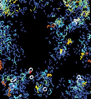 The cover from Molecular Cancer Research depicts the movement of Ewing sarcoma cells in which ETS1 has been depleted via small lines of various colors against a black background.