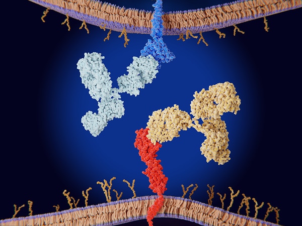 AACR Cancer Progress Report 2024