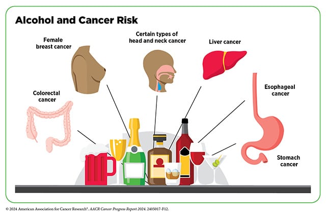 A figure showing the six types of cancer associated with a higher risk due to the consumption of alcohol, including: colorectal, breast, liver, stomach, esophageal, and certain types of head and neck cancers.