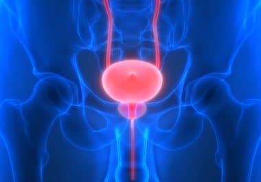 Immunotherapy Improves Survival in Bladder Cancer